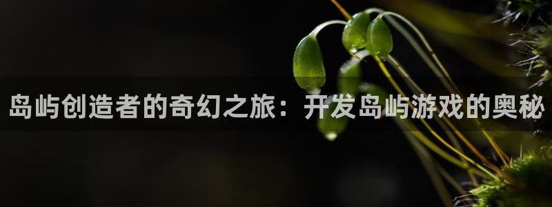 沐鸣娱乐2官方网站