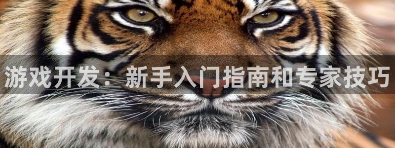沐鸣2注册开户