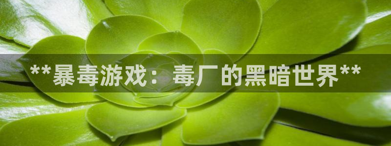 沐鸣2手机网页版
