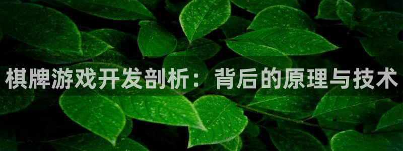 沐鸣2主管
