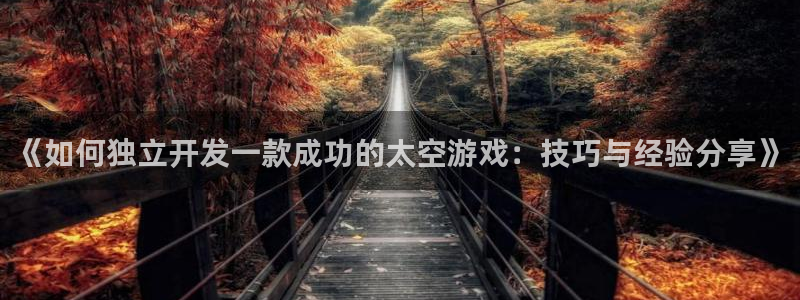 沐鸣2登录测试：《如何独立开发一款成功的太空游戏：技巧与经验分享》