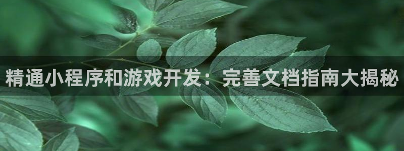 沐鸣娱乐2是干嘛的：精通小程序和游戏开发：完善文档指南大揭秘