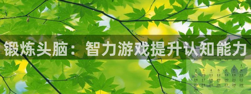 沐鸣娱乐2登陆不上怎么办：锻炼头脑：智力游戏提升认知能力