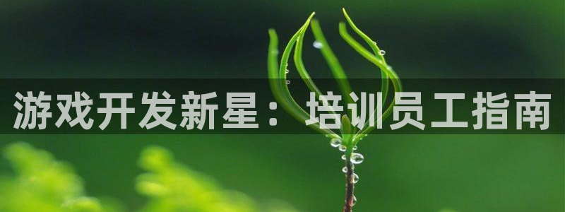 沐鸣娱乐2登录平台官网网址：游戏开发新星：培训员工指南