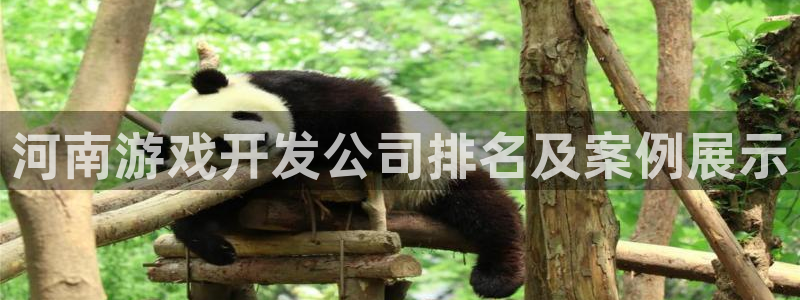 沐鸣娱乐2在线注册：河南游戏开发公司排名及案例展示